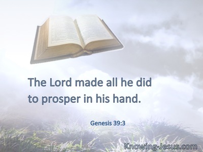 The Lord made all he did to prosper in his hand.